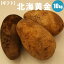 【送料無料】★新じゃがいも★北海黄金(正規品・L/2L混)10kg 北海道産じゃがいも「北海黄金」いろいろ使えるジャガイモ【2017/10上旬予順発送】【内祝い 御祝い 御礼 誕生祝 誕生プレゼント ギフト】