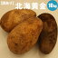 【送料無料】★新じゃがいも★北海黄金(規格外・M/LM混)10kg 北海道産じゃがいも「北海黄金」いろいろ使えるジャガイモ【2017/10上旬予順発送】【内祝い 御祝い 御礼 誕生祝 誕生プレゼント ギフト】