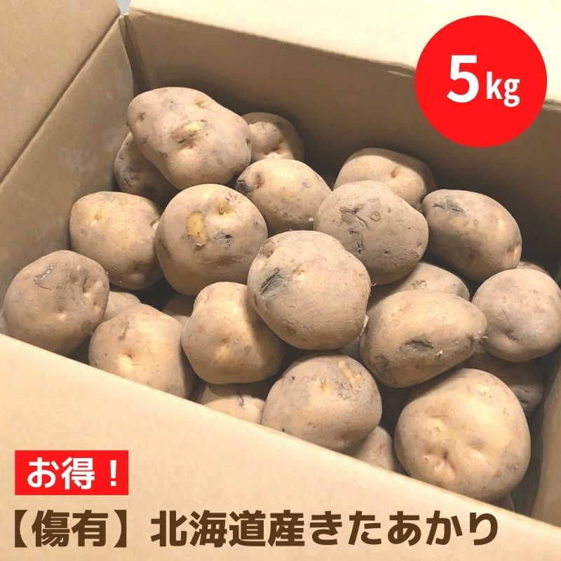 【 越冬じゃがいも 】 （傷有）きたあかり M～2L混 5kg 訳あり じゃがいも 北海道 ジャガイモ キタアカリ 北あかり きたあかり 訳有 お得 道産 野菜 業務用 自宅用 訳有