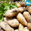 新じゃがいも メークイン L/2L混 10kg 【10月上旬予約順発送】 ギフトに 北海道産 じゃがいも 送料無料 メークイン 【 内祝い 御祝い 御礼 誕生日 プレゼント ギフト 】