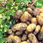 越冬じゃがいも メークイン M/LM混 3kg 【送料別】 【1月上旬予約順発送】 訳あり 北海道産 じゃがいも メークイン 【 内祝い 御祝い 御礼 誕生日 プレゼント ギフト 】