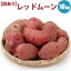 新じゃがいも レッドムーン M/LM混 10kg /10月上旬予約順発送/ 訳あり 北海道産 北海道 じゃがいも ジャガイモ 送料無料 希少な 新じゃがいも レッドムーン レッドメーク 内祝い 御祝い 御礼 誕生日祝 ギフト プレゼント 贈り物 贈答用 お返し お取り寄せ 景品 通販