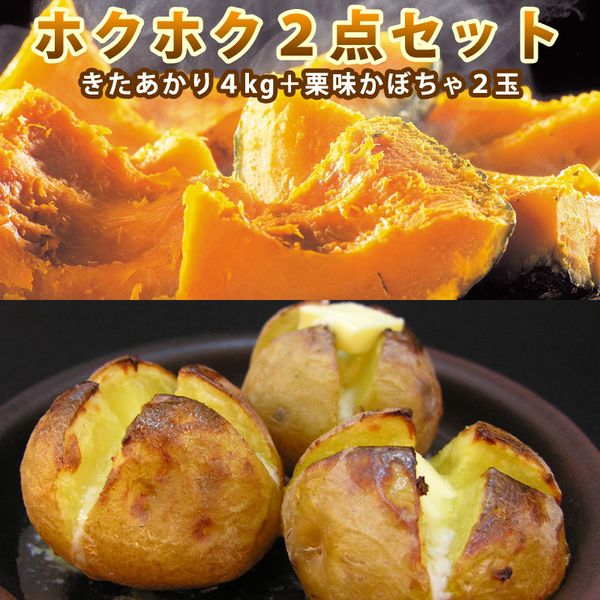 【 越冬じゃがいも 】 ホクホク2点セット（ きたあかり L/2L 4kg・ 栗味かぼちゃ 2玉 ）い じゃがいも 野菜 道産野菜 野菜ギフト 北海道産 ジャガイモ カボチャ