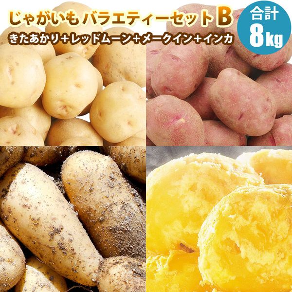 【 越冬じゃがいも 】 バラエティーセットB 4種 きたあかり レッドムーン メークイン インカのめざめ 各2kg じゃがいも 野菜ギフト 北海道産