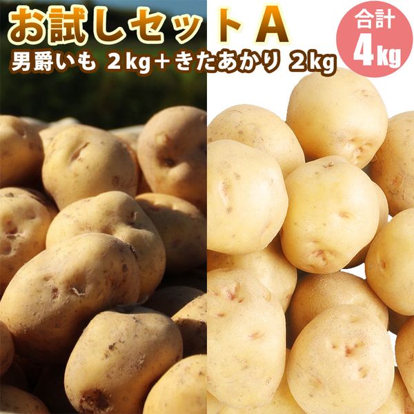 【 越冬じゃがいも 】 越冬 じゃがいも お試しセットA きたあかり 2kg 男爵 2kg） お試し じゃがいも セット キタアカリ 男爵 じゃがいも ジャガイモ 北海道 お取り寄せ 食べ物 食品 年末年始 お正月 寒中見舞い お年賀 冬ギフト 年越し 福袋