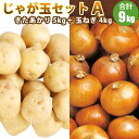 玉ねぎ 北海道産 越冬じゃがいも 玉ねぎ じゃが玉セットA（ きたあかり 5kg 玉ねぎ 4kg）/1月上旬予約順発送/送料無料 じゃがいも たまねぎ セット 北あかり ギフト 贈り物 贈答 プレゼント 内祝い お取り寄せ 食べ物 食品 贈物 贈答品 通販