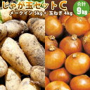 【 越冬じゃがいも 】 じゃが玉セットC（ メークイン 5kg 玉ねぎ 4kg） 北海道 たまねぎ セット じゃがいも 道産野菜 野菜ギフト