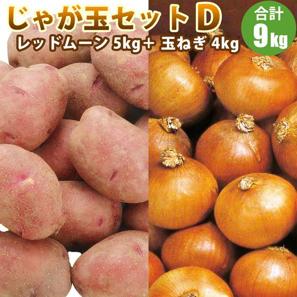 【 越冬じゃがいも 】 じゃが玉セットD（ レッドムーン 5kg 玉ねぎ 4kg） 北海道 たまねぎ セット じゃがいも 道産野菜 野菜ギフト 北海道産