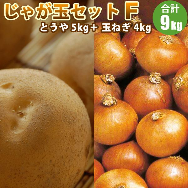 【 越冬じゃがいも 】 じゃが玉セットF（ とうや 5kg 玉ねぎ 4kg） 北海道 たまねぎ セット じゃがいも 道産野菜 野菜ギフト