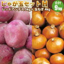 【2025年予約】【 新じゃがいも 】 じゃが玉セットH レッドアンデス 5kg 玉ねぎ 4kg / たまねぎ セット 玉葱 じゃがいも 北海道産野菜 野菜ギフト ポテト 11月中旬より予約順発送予定
