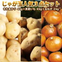 【2025年予約】【 新じゃがいも 】 じゃが玉人気3点セット きたあかり 4kg 男爵 4kg 玉ねぎ 2kg / たまねぎ 玉葱 北あかり ジャガイモ じゃがいも 北海道産野菜 ギフト ポテト 10月上旬頃より発送予定