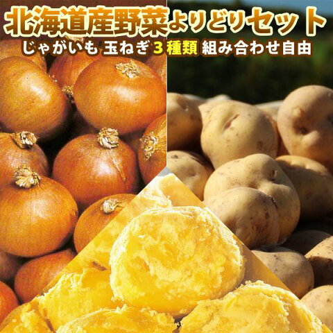 越冬じゃがいも 玉ねぎ 組み合わせ自由 送料無料 北海道 野菜よりどりセット 3種類購入 送料無料/10月上旬予約順発送/ きたあかり 男爵 メークイン インカのめざめ ギフト 贈り物 贈答 プレゼント 内祝い お取り寄せ 食べ物 食品 贈物 贈答品 通販