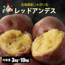 【2025年予約】【 新じゃがいも 】 レッドアンデス LM/L/2L混 3kg/5kg/10kg 北海道 ジャガイモ 赤い アンデスレッド じゃがいも 北海道産野菜 野菜ギフト ポテト 11月中旬より予約順発送予定