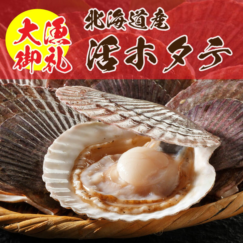 【16時迄】大漁御礼【タイムセール！本日発送致します！】活ホタテ(3年貝)約2kg(10～20枚)大きさ色々【冷蔵】 送料無料 帆立 ほたて ホタテ 海鮮 海鮮ギフト 北海道産 産地直送 特価 激安セール 活ほたてのサムネイル