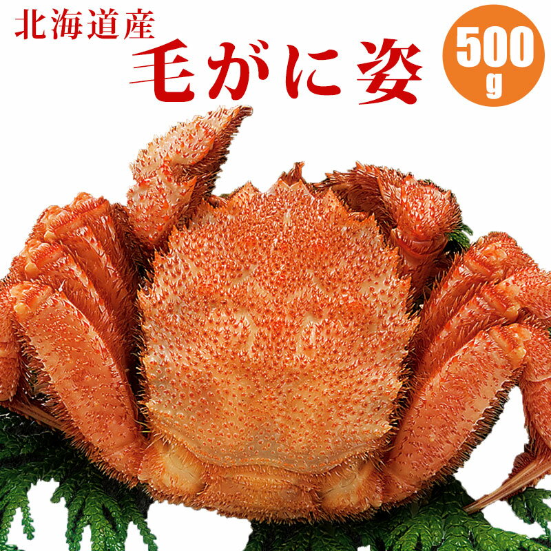 毛ガニ 500g 1尾／2尾／3尾／4尾／5尾 北海道 カニ 毛蟹 蟹通販 海鮮ギフト 蟹ギフト