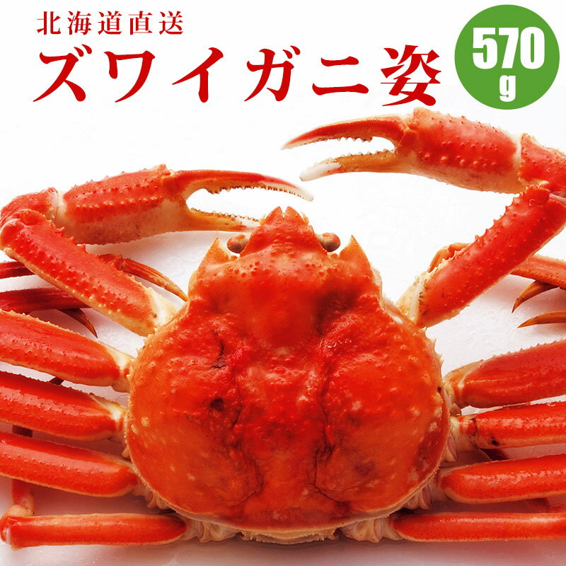 【かに カニ 蟹】 ズワイガニ姿570g 1尾／2尾／3尾／4尾／5尾 すっきりした甘みズワイガニ姿 蟹ギフト 海鮮