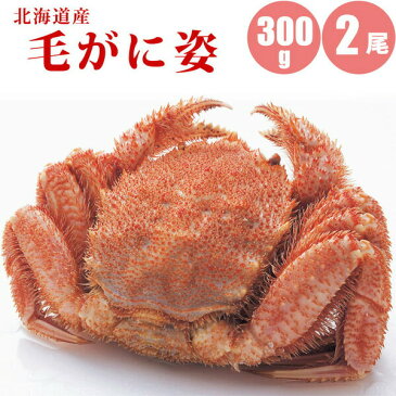 毛ガニ 300g × 2尾 北海道 カニ ボイル冷凍 毛蟹 ギフト オススメ 北海道 浜茹で 内祝 海鮮ギフト お返し プレゼント お祝 御祝 誕生日 ギフト 贈り物 贈答品 お取り寄せ 北海道ギフト 人気 御歳暮 お歳暮 御年賀 お正月 冬ギフト 寒中見舞い 福袋 敬老