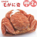 毛ガニ 360g × 2尾 北海道産 カニ 【送料無料】 ボ...