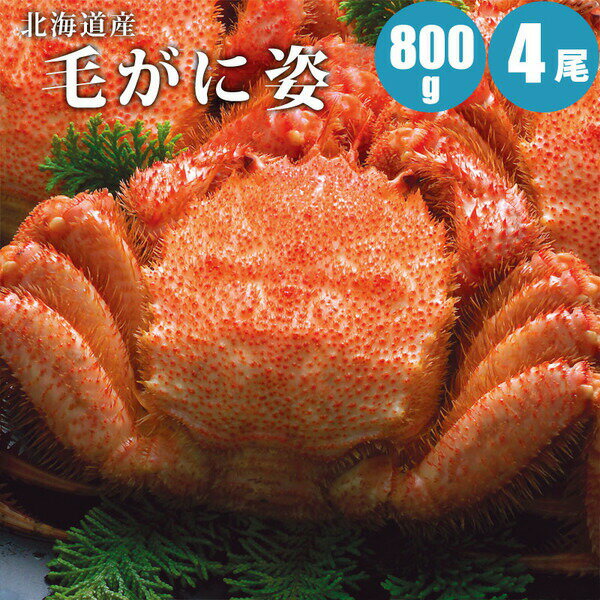毛ガニ 800g × 4尾 特大 北海道 カニ 毛蟹 蟹通販 海鮮ギフト 蟹ギフト