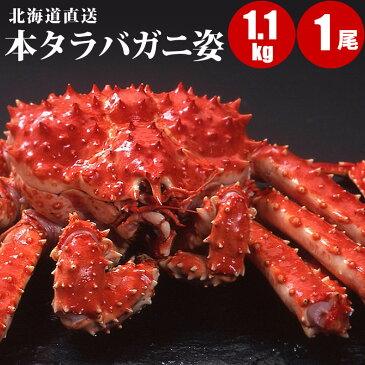 北海道直送 本タラバガニ姿 1.1kg×1尾 ほっけ2尾 タラバガニ姿送料無料/送料込み/タラバ蟹姿/たらばかに/タラバカニ/蟹/ボイル冷凍 【 内祝い 御祝い 御礼 誕生日 ギフト 】