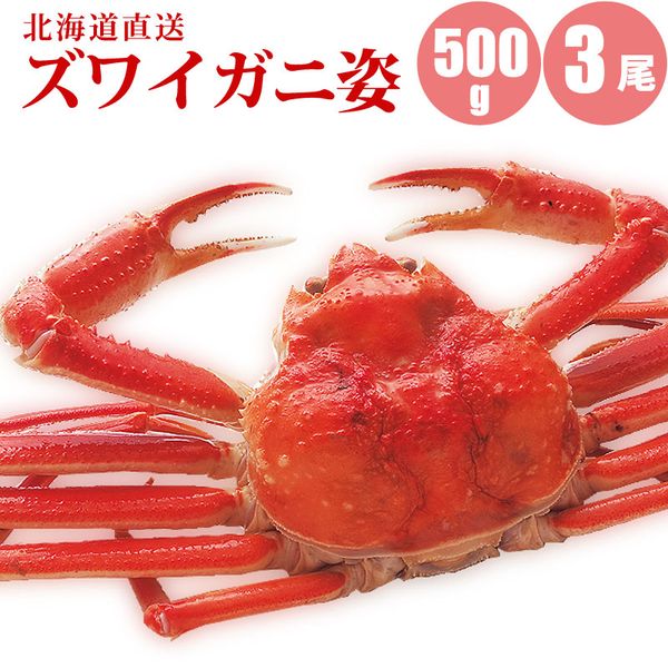 【かに カニ 蟹】 ズワイガニ姿500g×3尾 すっきりした甘みズワイガニ姿 蟹ギフト 海鮮