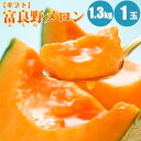【予約】 富良野メロン 1.3kg (Lサイズ)×1玉 富良野メロン 北海道メロン メロン 北海道 赤肉メロン 旬のフルーツ フルーツ 果物