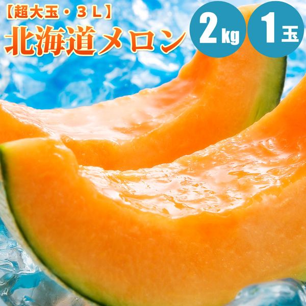 【予約】 北海道メロン 2kg×1玉 超大