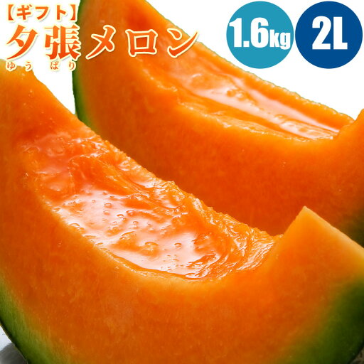 【予約】 夕張メロン 1.6kg (2Lサイズ) 1玉/2玉/3玉/4玉/5玉 共撰・優の夕張メロン 北海道メロン 旬のフルーツの贈り物 フルーツ 果物 【予約】 夕張メロン 1.6kg (2Lサイズ) 1玉/2玉/3玉/4玉/5玉 共撰・優の夕張メロン 北海道メロン 旬のフルーツの贈り物 フルーツ 果物