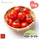 【 予約 】 北海道産 ミニトマト 「 ベリートマト 」 1kg トマト とまと ミニトマト 大容量 ご褒美 北海道 道産 道産野菜 旬 トマトベリー