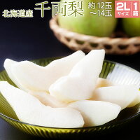 【GIFT】 千両梨/2L 12玉から14玉 送料無料 旬のフルーツ フルーツ ギフト 内祝 お取り寄せ 食べ物 食品 通販 梨 秋の味覚 果物 北海道産