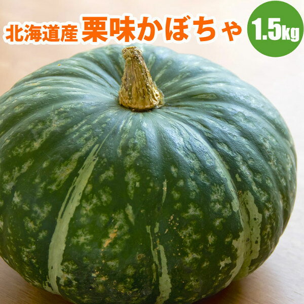 【予約】 北海道産ホクホク栗味かぼちゃ1玉（1.5kg以上） 冬至 カボチャ 南瓜