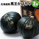 【予約】 北海道産 黒王かぼちゃ 2個(1個1.6～2kg前後) 冬至 野菜 道産野菜 野菜ギフト 北海道産 カボチャ 南瓜