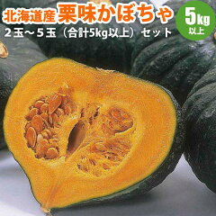 https://thumbnail.image.rakuten.co.jp/@0_mall/yamayasato/cabinet/tavegfru/pump/pumpkinset-01.jpg