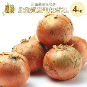 玉ねぎ 4kg/2L 旨みは野菜の中でも豊富。 たまねぎ 野菜 道産野菜 野菜ギフト 北海道産