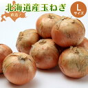 【2025年予約】 玉ねぎ 4kg/8kg Lサイズ 北海道産玉葱 旨みは野菜の中でも豊富 たまねぎ 玉葱 北海道野菜 北海道産野菜 野菜ギフト オニオン10月上旬頃より発送予定