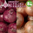 【2025年予約】 レッドオニオン4kg&玉ねぎ4kgセット Lサイズ 赤玉ねぎ 赤玉葱 玉葱 たまねぎ 北海道野菜 北海道産野菜 野菜ギフト ポテト 10月上...