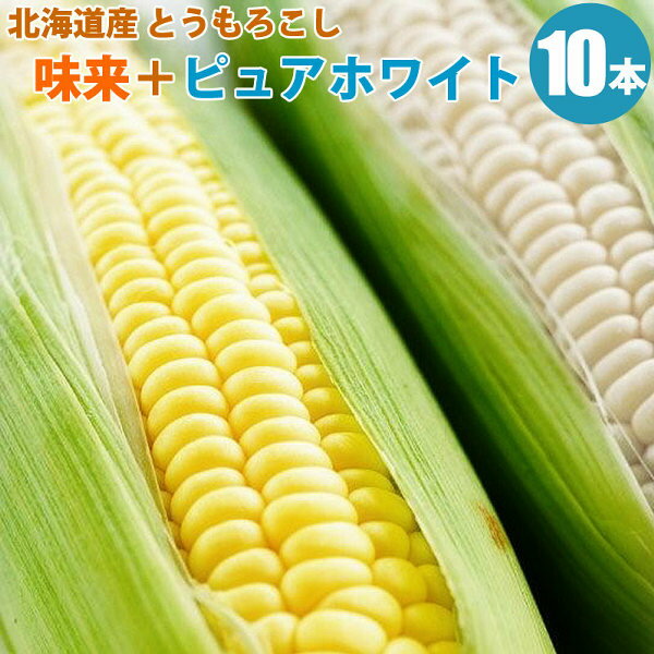 とうもろこし 味来 みらい 5本＋ ピュアホワイト 5本 食べ比べ セット 北海道 産地直送 朝もぎ トウモロコシ 北海道産 コーン ホワイト ミライ とうきび トウキビ 味比べ