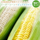 【予約】 とうもろこし ピーターコーン + ピュアホワイト 食べ比べ セット 北海道 産地直送 朝もぎ トウモロコシ 北海道産 コーン ホワイト ピーター トウキビ 味比べ バイカラー とうきび 8月下旬頃より発送予定