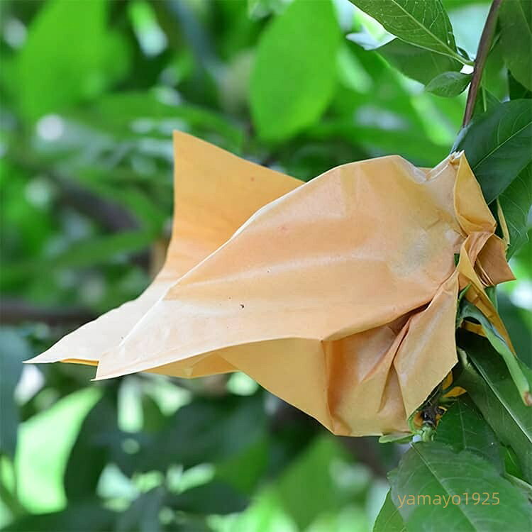 200枚セット 桃 もも用 厚手 防鳥 家庭菜園 防虫 防雨 園芸 Vカット 固定しやすい ...