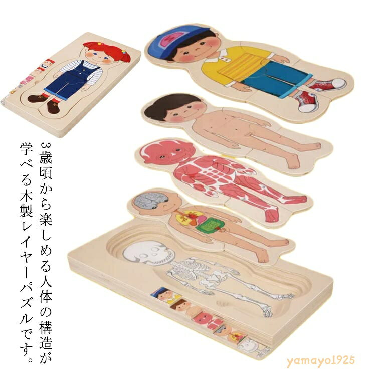 人体 男の子 構造 人体パズル 女の子 対象年齢3歳 学べる 木製レイヤーパズル 木のおもちゃ 知育玩具 木製人体パズル