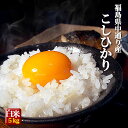福島県中通り産 コシヒカリ 白米 5kg 令和6年度 米 お米【送料無料】※一部地域を除く ※沖縄県配送不可