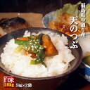 福島県中通り産 天のつぶ 白米 10kg(5kg×2個) 令和6年産 米 お米【送料無料】※一部地域を除く ※沖縄県配送不可