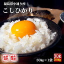 クーポン獲得ご利用で10%OFF!! 福島県中通り産 コシヒカリ 玄米:30kg(白米:約27kg) 令和2年産【精米無料・送料無料】※沖縄県・離島対応不可