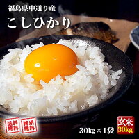 福島県中通り産 コシヒカリ 玄米 30kg(白米 約27kg) 令和5年産 米 お米【精米無料...