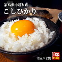 福島県中通り産 コシヒカリ 白米 10kg(5kg×2個) 令和5年産 米 お米【送料無料】※沖縄県対応不可