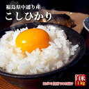 お試しポスト便 福島県中通り産 コシヒカリ 白米 1kg【送料無料】※配送日時指定不可 ※沖縄県対応不可