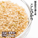 【調整済】福島県中通り産 コシヒカリ 玄米:10kg(5kg×2個) 令和5年産【精米、白米対応不可】送料無料 ※沖縄県対応不可