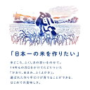 真空パック♪ ネコポス便 福島県産 福、笑い 白米900g（450g×2）令和5年産 ※日時指定不可 3