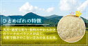 福島県中通り産 ひとめぼれ 白米 5kg 令和5年度 米 お米【送料無料】※沖縄県対応不可 3