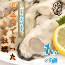 剥き身 牡蠣　1kg×5個【冷蔵便】送料無料 出荷開始しました！　漁師が販売、とれたて新鮮な むき身 カキ です。 生食用 兵庫県 相生